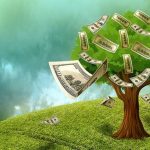 Choosing a Small Business Startup Loan