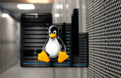 Tips to Choose the Right Linux Dedicated Server Hosting