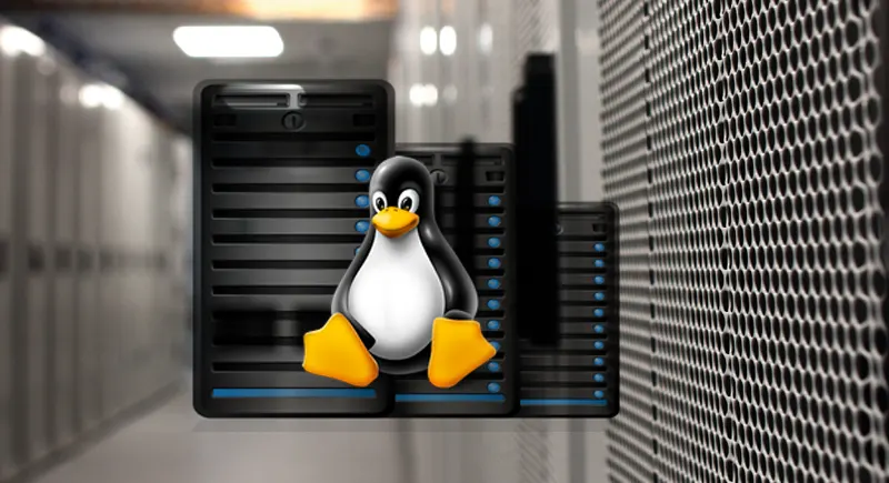 Tips to Choose the Right Linux Dedicated Server Hosting